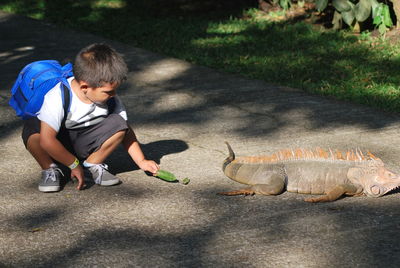 Full length of boy holding leaf by reptile on footpath