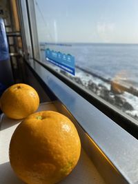 Close-up of fruits on table by sea against sky