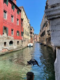 View of canal amidst buildings in city