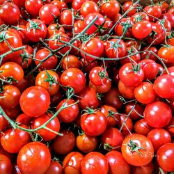 Full frame shot of tomatoes