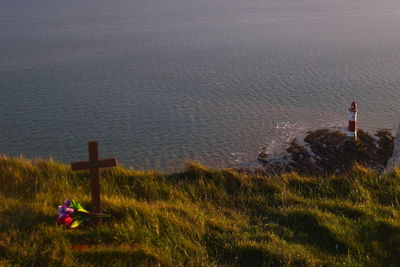 Flowers at tomb with lighthouse in distant