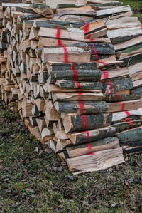 Stack of logs in forest