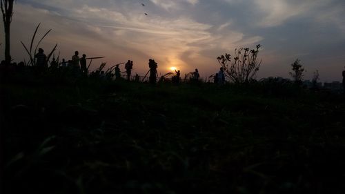 Silhouette plants growing on field against sky during sunset