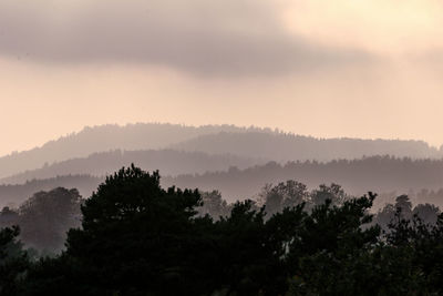 Scenic view of trees and mountains against sky