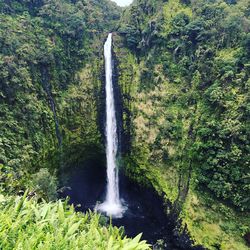 High angle view of akaka falls on mountain