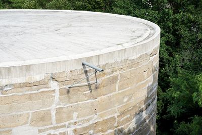 High angle view of a cat on wall