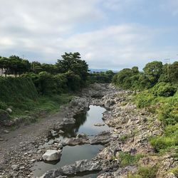 Scenic view of river amidst trees against sky