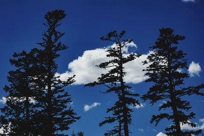 Low angle view of silhouette trees against blue sky