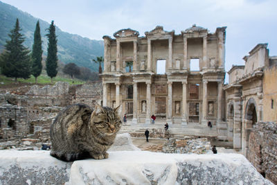 View of a ruins of a building