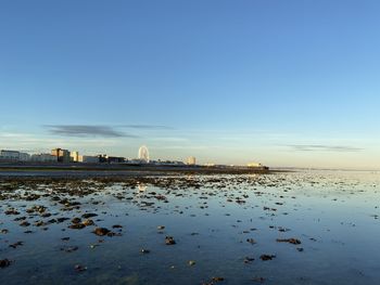 Scenic view of sea against clear blue sky