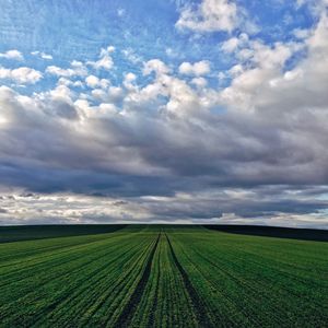 Scenic view of green field against cloudy sky