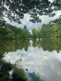 Reflection of trees in lake against sky