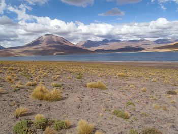 Scenic view of desert against cloudy sky