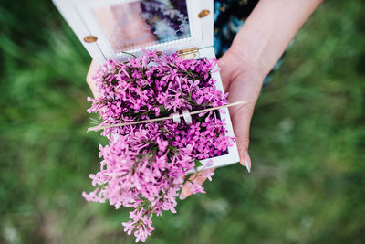 Close-up of hand holding purple flower