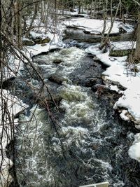 View of bare trees on snow covered landscape