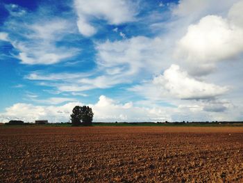 Scenic view of field against sky