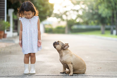 Cute little girl playing with french bulldog on the road in village.