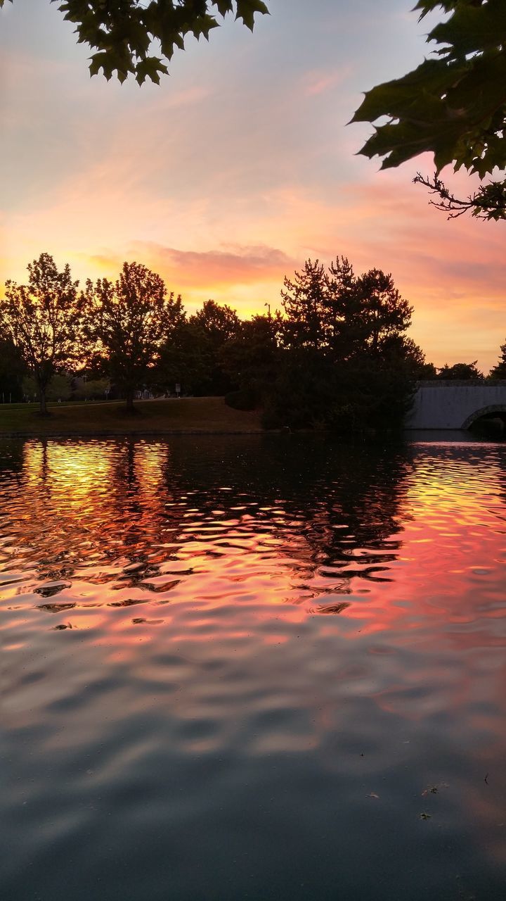 REFLECTION OF SILHOUETTE TREES IN CALM LAKE