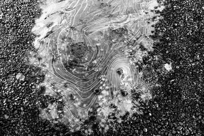 Full frame shot of trees