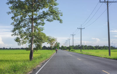 Back view of a male cyclist riding a road bike for exercise in the evening when the weather is clear