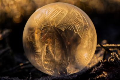 Close-up of frozen soap bubble