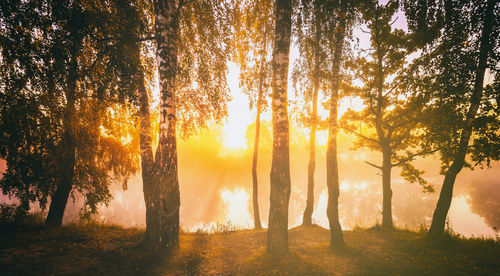 Dawn on a lake