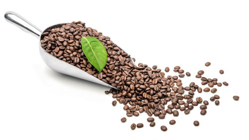 High angle view of coffee beans against white background