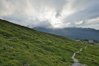Staying out on a summer evening after a long hike. the odor of alpine herbs fills the air.