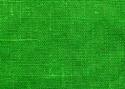 Full frame shot of leaf