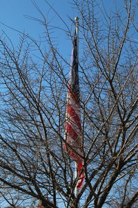 Low angle view of bare tree against sky