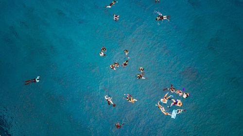 High angle view of people swimming in sea