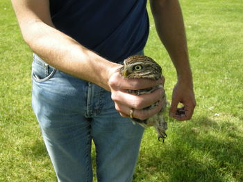 Midsection of person holding owl