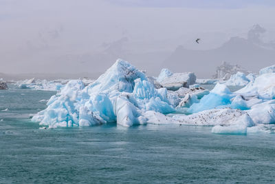 Iceland, jokulsarlon lagoon, turquoise icebergs floating in glacier lagoon on iceland