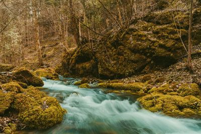 Stream flowing through rocks in forest