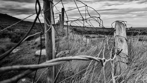 Close-up of rusty barbed wire on field