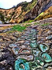 Close-up of water flowing through rocks