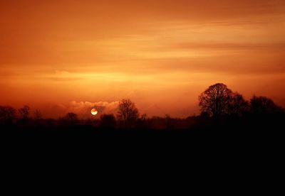 Silhouette trees against dramatic sky during sunset