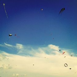 Low angle view of hot air balloons