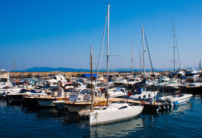 Sailboats moored in harbor