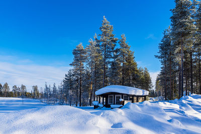 Trees on snow covered field against clear blue sky