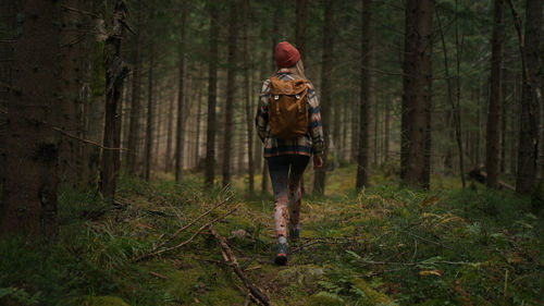 Back view of the blonde caucasian woman walking in woods, looks around, enjoys the beauty of nature