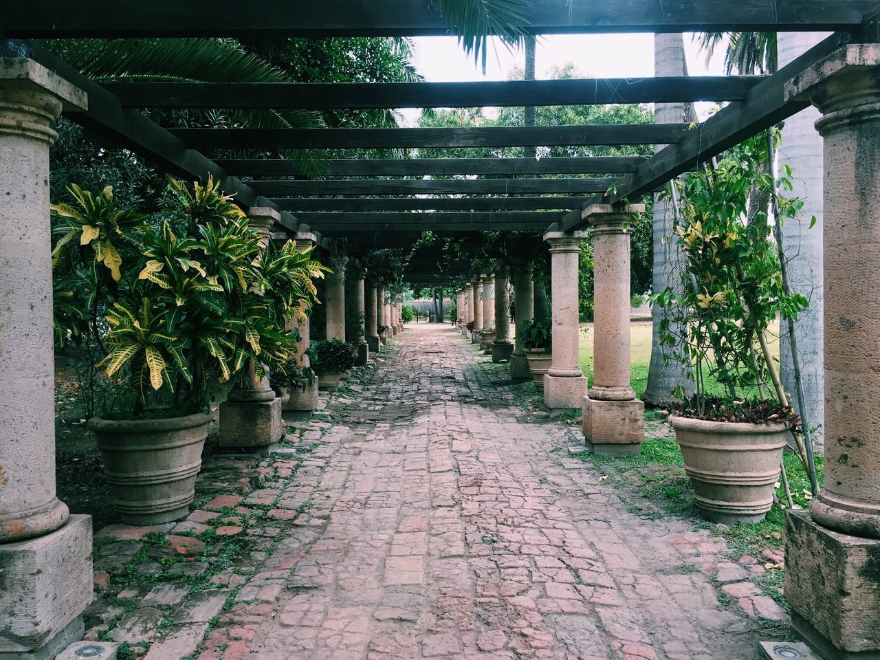 the way forward, built structure, architecture, diminishing perspective, in a row, walkway, cobblestone, vanishing point, footpath, narrow, empty, pathway, paving stone, tree, long, architectural column, colonnade, corridor, tiled floor, day