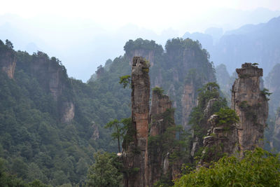 Panoramic view of trees on mountain against sky