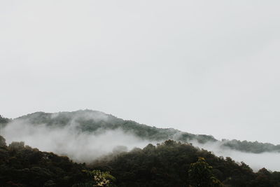 Scenic view of tree mountains against sky during foggy weather
