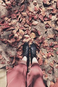 Low section of woman standing on dry leaves