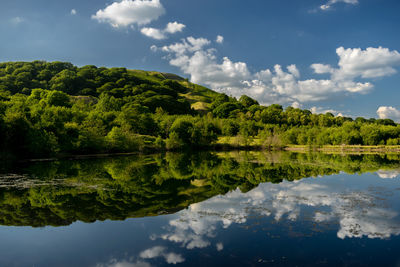 Scenic view of lake by trees against sky