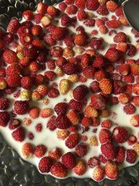 Close-up of strawberries