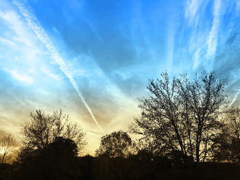 Silhouette trees against sky at sunset