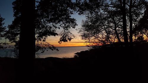 Silhouette trees by sea against sky during sunset