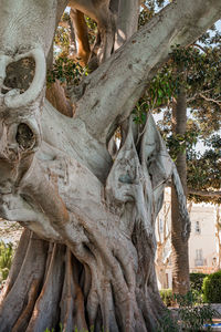 Statue of tree trunk